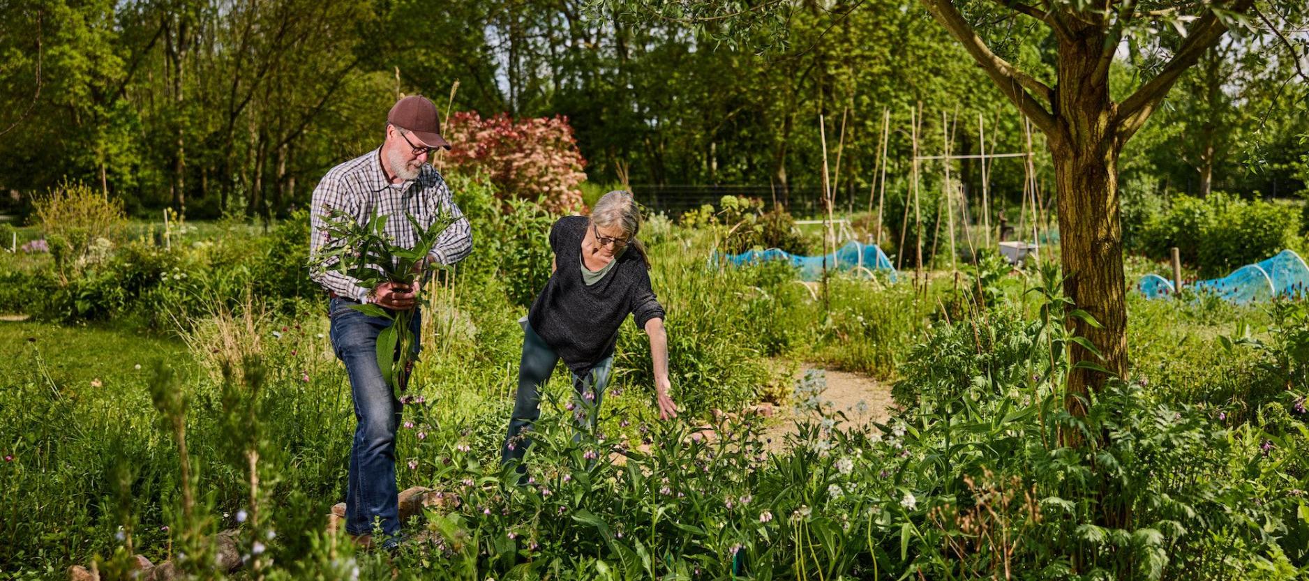 man en vrouw midden in een ruime groene stadstuin aan het tuinieren.