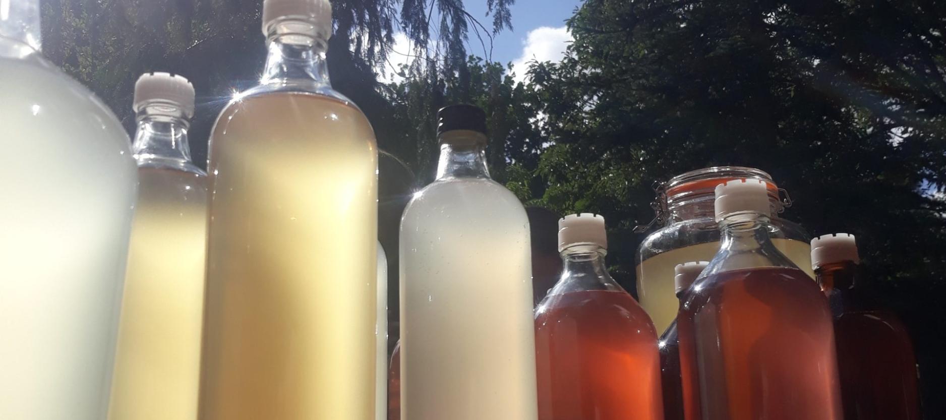 Verschillende glazen flessen met gekleurde inhoud