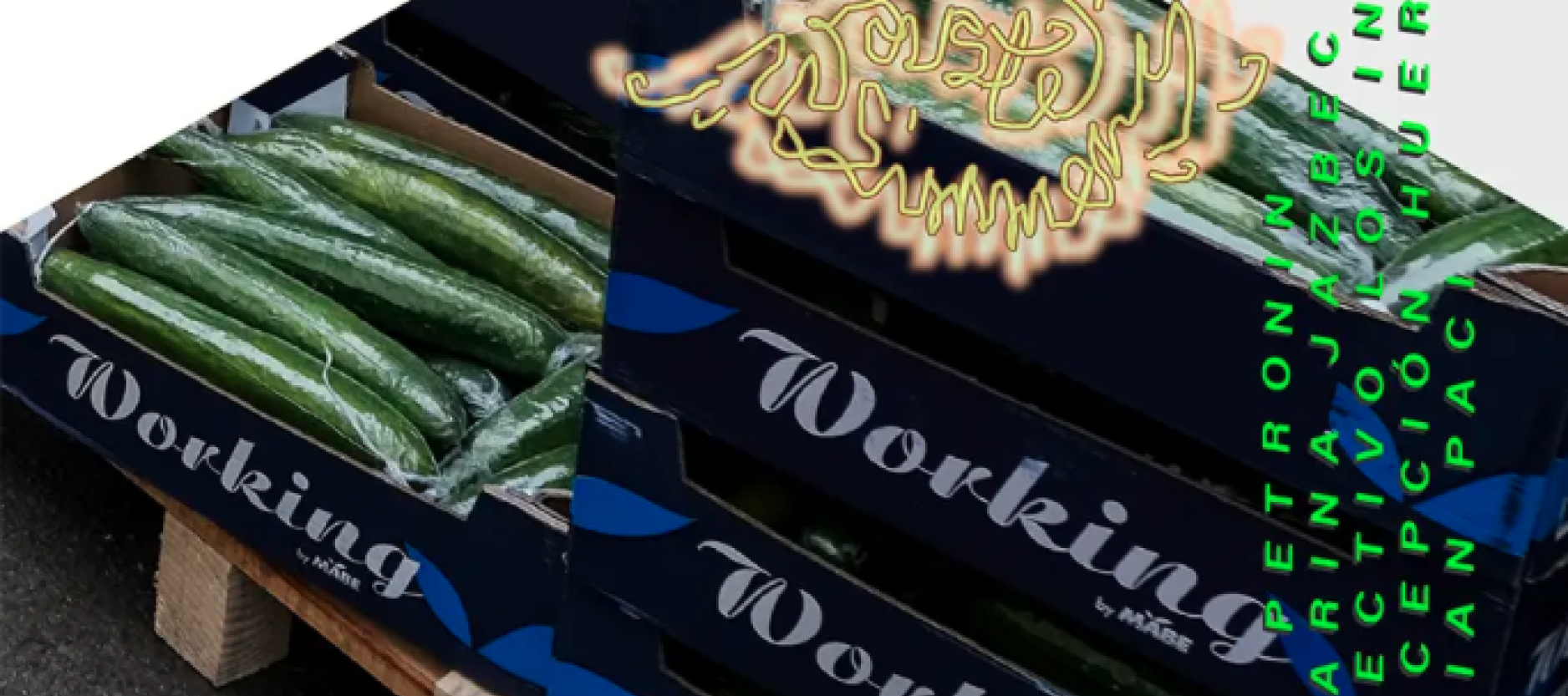 Komkommers in kartonnen dozen
