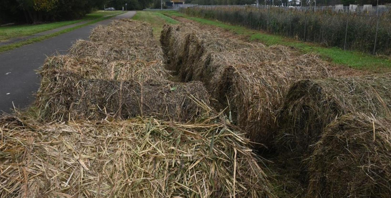 gemaaid gras